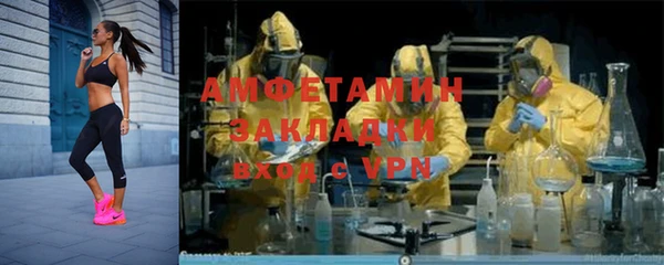 прущие грибы Аркадак