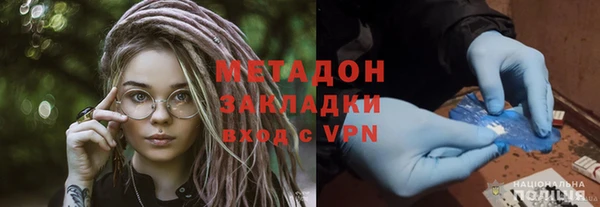 прущие грибы Аркадак