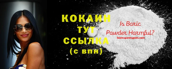 прущие грибы Аркадак