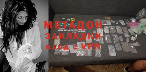 прущие грибы Аркадак