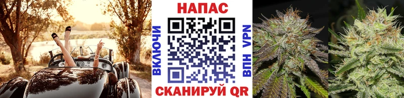 дарнет шоп  Северо-Курильск  Марихуана конопля 
